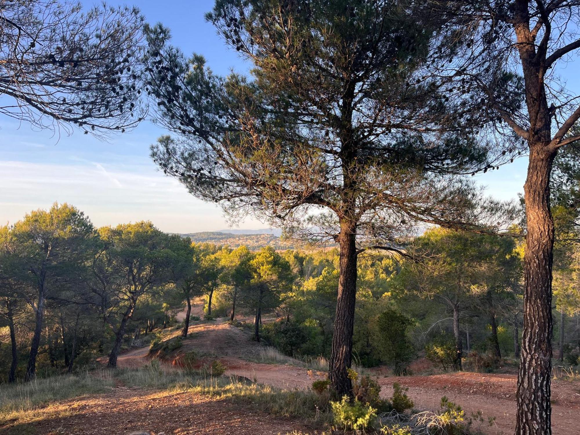 Maison Provencale Au Calme De La Campagne Avec Jacuzzi Aix-en-Provence Bagian luar foto
